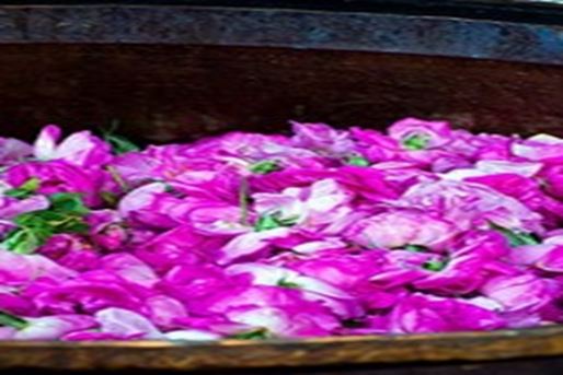 Golabgiri (παρασκευή ροδόνερου)